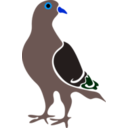 download Pigeon clipart image with 180 hue color