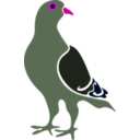 download Pigeon clipart image with 270 hue color