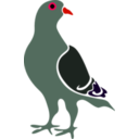 download Pigeon clipart image with 315 hue color