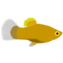 download Aquarium Fish Xiphophorus Maculatus clipart image with 45 hue color