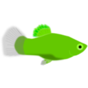 download Aquarium Fish Xiphophorus Maculatus clipart image with 90 hue color