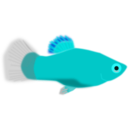 download Aquarium Fish Xiphophorus Maculatus clipart image with 180 hue color