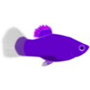 download Aquarium Fish Xiphophorus Maculatus clipart image with 270 hue color
