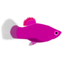 download Aquarium Fish Xiphophorus Maculatus clipart image with 315 hue color