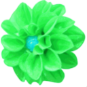 download Dahlia clipart image with 135 hue color