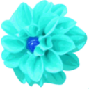 download Dahlia clipart image with 180 hue color