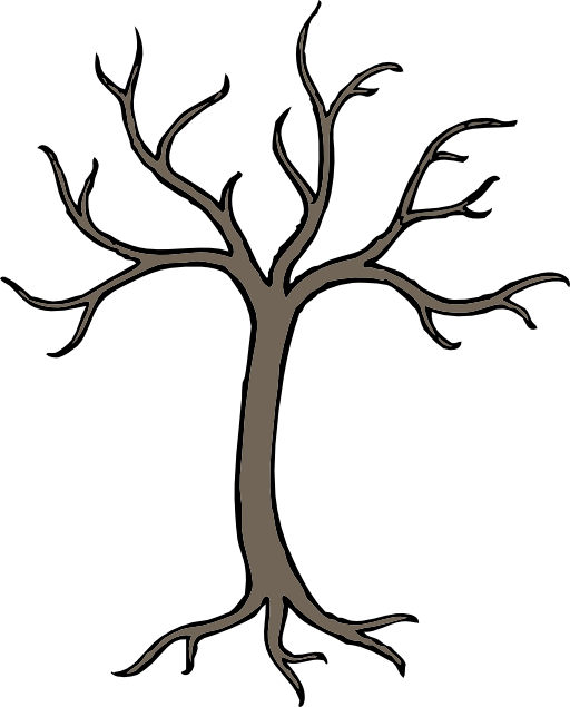 Barren Tree