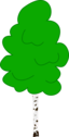 Birch