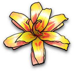 Flower 4