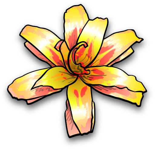 Flower 4