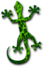 Gecko 4
