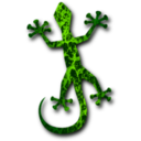 Gecko 4