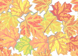 Fall Leaves