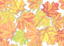 Fall Leaves