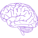 download Brain Profile 2 clipart image with 270 hue color