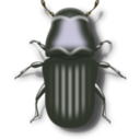 download Pine Beetle clipart image with 45 hue color