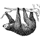download Sloth clipart image with 225 hue color