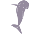 download Dolphin Jumping Front clipart image with 45 hue color