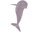 download Dolphin Jumping Front clipart image with 90 hue color