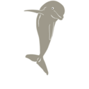 download Dolphin Jumping Front clipart image with 180 hue color