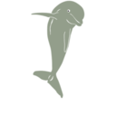 download Dolphin Jumping Front clipart image with 225 hue color