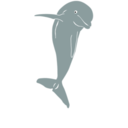 download Dolphin Jumping Front clipart image with 315 hue color