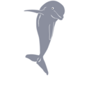 download Dolphin Jumping Front clipart image with 0 hue color