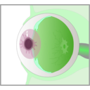 download Eye clipart image with 90 hue color