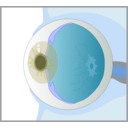 download Eye clipart image with 180 hue color