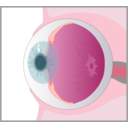 download Eye clipart image with 315 hue color