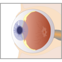 download Eye clipart image with 0 hue color