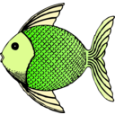 download Tropical Fish clipart image with 45 hue color