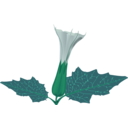 download Stramonium Flower clipart image with 90 hue color