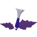 download Stramonium Flower clipart image with 180 hue color