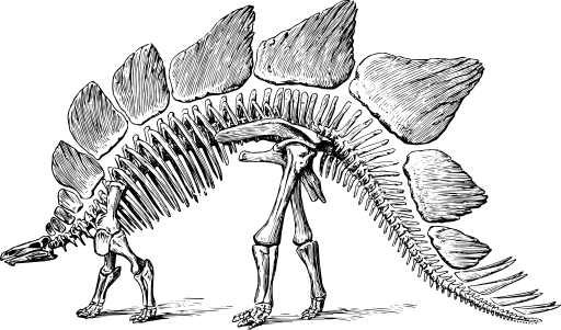 Stegosaurus
