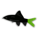 download Aquarium Fish Epalzeorhynchos clipart image with 90 hue color