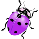 download Ladybug clipart image with 270 hue color