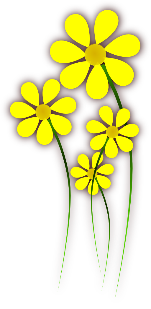 Daisies