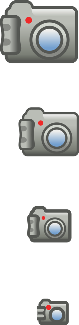 Digital Photo Camera Icon