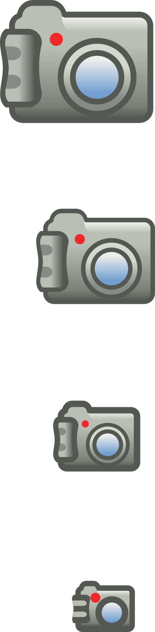 Digital Photo Camera Icon