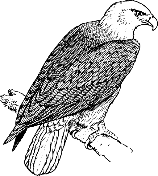 Eagle 2