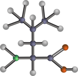 Leucine Amino Acid