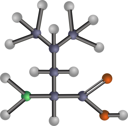 Leucine Amino Acid