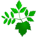 download Leaves clipart image with 45 hue color
