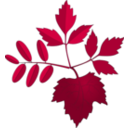 download Leaves clipart image with 270 hue color