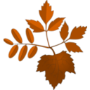 download Leaves clipart image with 315 hue color