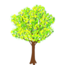 download Tree In Spring clipart image with 0 hue color