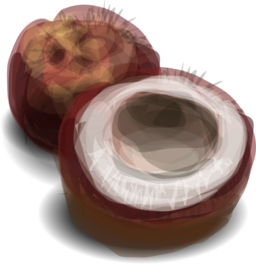 Coconut