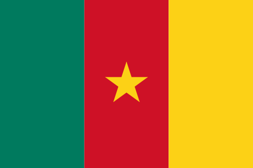 Flag Of Cameroon