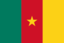 Flag Of Cameroon